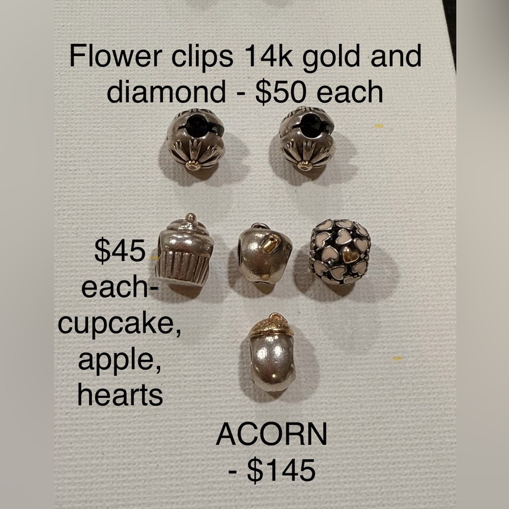 Pandora two toned charms
